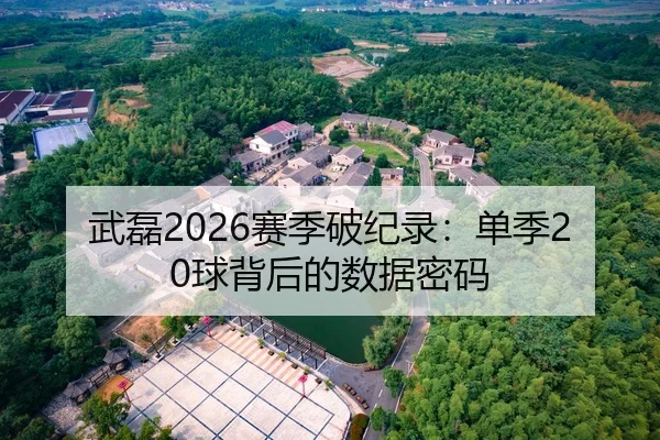 武磊2026赛季破纪录：单季20球背后的数据密码