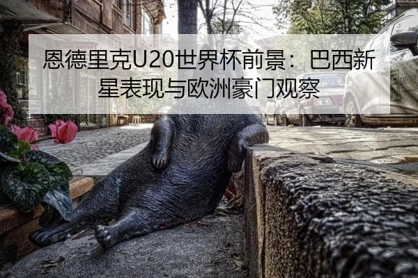 en-de-li-ke-shi-jie-bei-qian-jing-ba-xi-xin-xing-biao-xian-yu-ou-zhou-hao-men-guan-cha-2-343.jpg